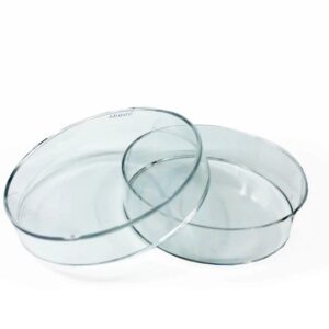 Nunc 35x10mm Dish, w/ Vented Lid Nunclon™ Delta (153066)