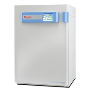 Forma™ Series 3 Water Jacketed CO2 Incubator, 184 L, Polished Stainless Steel
